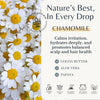 Chamomile Oil Shampoo & Conditioner Set for Hair Lightening & Scalp Relief — image 5