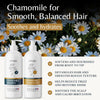 Chamomile Oil Shampoo & Conditioner Set for Hair Lightening & Scalp Relief — image 2