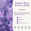 Lavender Massage Oil for Skin, Aromatherapy & Romantic Oil for Date Night — 2-Pack — image 4