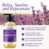 Lavender Massage Oil for Skin, Aromatherapy & Romantic Oil for Date Night — 2-Pack — image 2