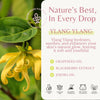Ylang Ylang Body Wash 2-Pack, Cleanses, Nourishes & Hydrates Dry Skin — image 4