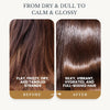 Chamomile Oil Shampoo & Conditioner Set for Hair Lightening & Scalp Relief — image 3