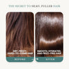 Rosemary Oil Shampoo & Conditioner with Biotin for Thinning Hair — image 3