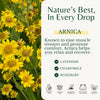 Maximum Strength Sore Muscle Massage Oil with Pure Arnica, Massage Therapy — 2-Pack — image 4